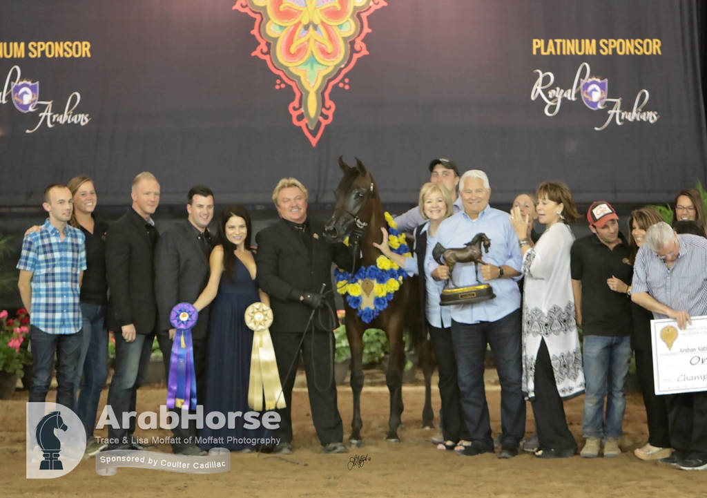 Arabian National Breeder Finals - 2017