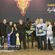 Arabian National Breeder Finals - 2017