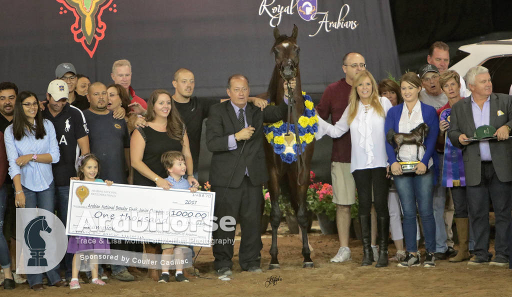 Arabian National Breeder Finals - 2017