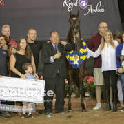 Arabian National Breeder Finals - 2017