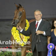 Arabian National Breeder Finals - 2017