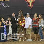 Arabian National Breeder Finals - 2017