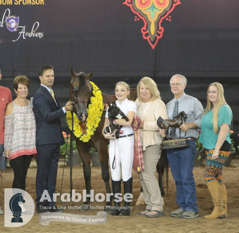 Arabian National Breeder Finals - 2017