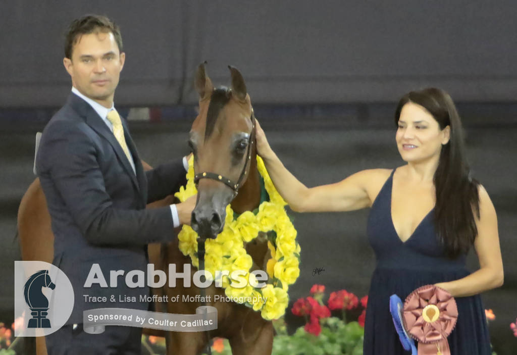 Arabian National Breeder Finals - 2017