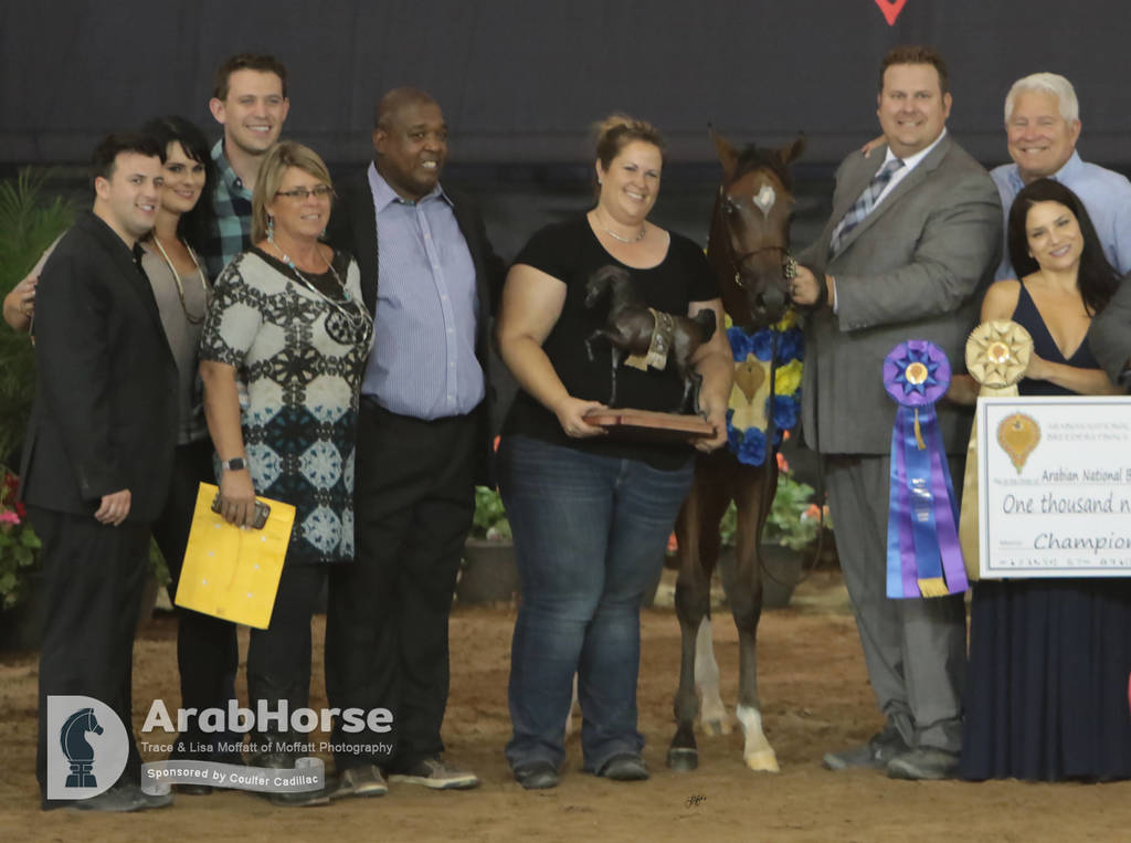 Arabian National Breeder Finals - 2017