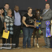 Arabian National Breeder Finals - 2017