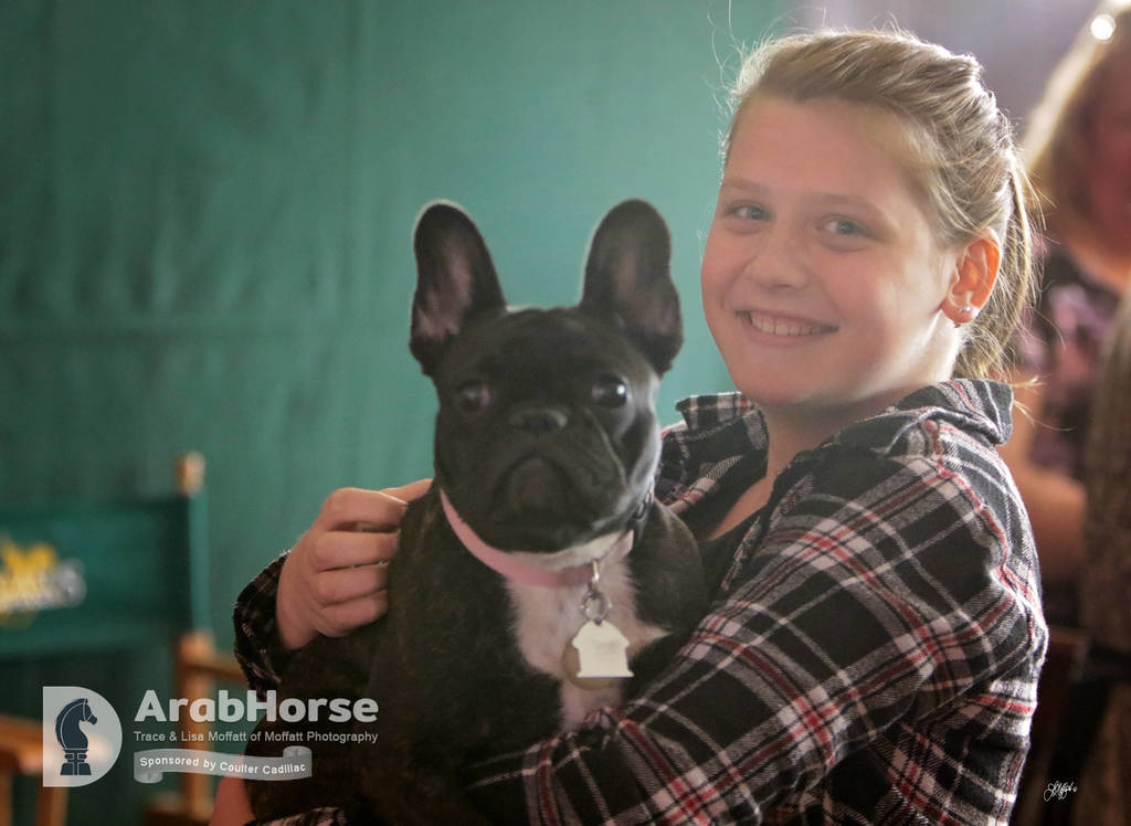 Arabian National Breeder Finals - 2017