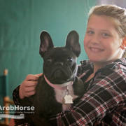 Arabian National Breeder Finals - 2017