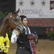 Arabian National Breeder Finals - 2017