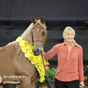 Arabian National Breeder Finals - 2017