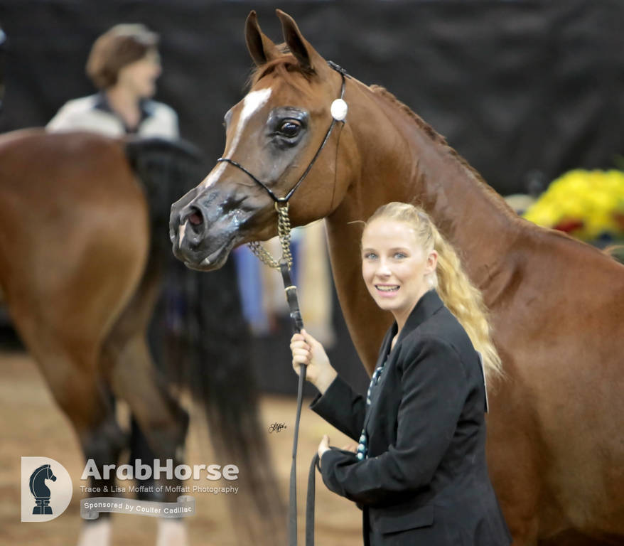 Arabian National Breeder Finals - 2017