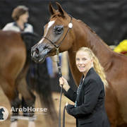 Arabian National Breeder Finals - 2017