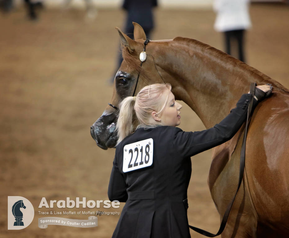 Arabian National Breeder Finals - 2017