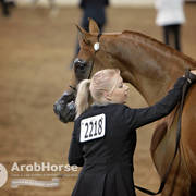 Arabian National Breeder Finals - 2017