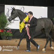 Arabian National Breeder Finals - 2017