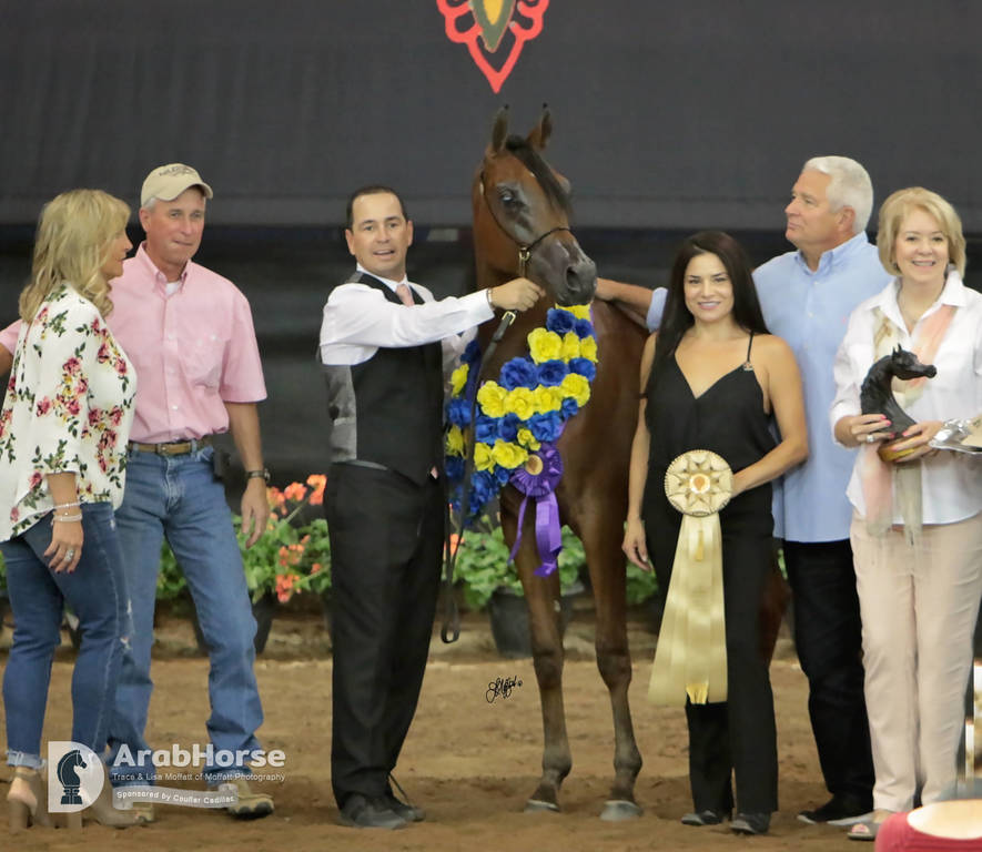 Arabian National Breeder Finals - 2017