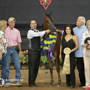 Arabian National Breeder Finals - 2017