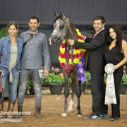 Arabian National Breeder Finals - 2017