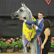 Arabian National Breeder Finals - 2017