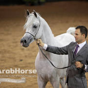 Arabian National Breeder Finals - 2017