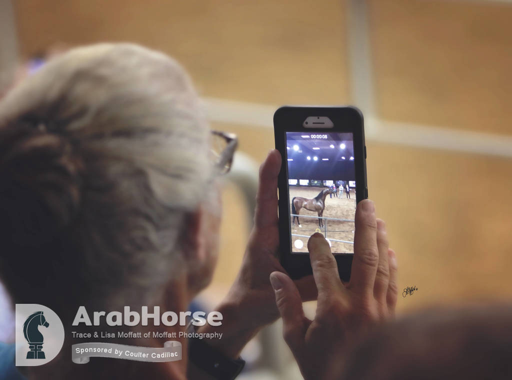 Arabian National Breeder Finals - 2017