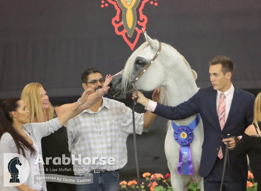 Arabian National Breeder Finals - 2017