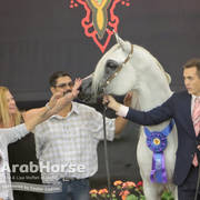 Arabian National Breeder Finals - 2017