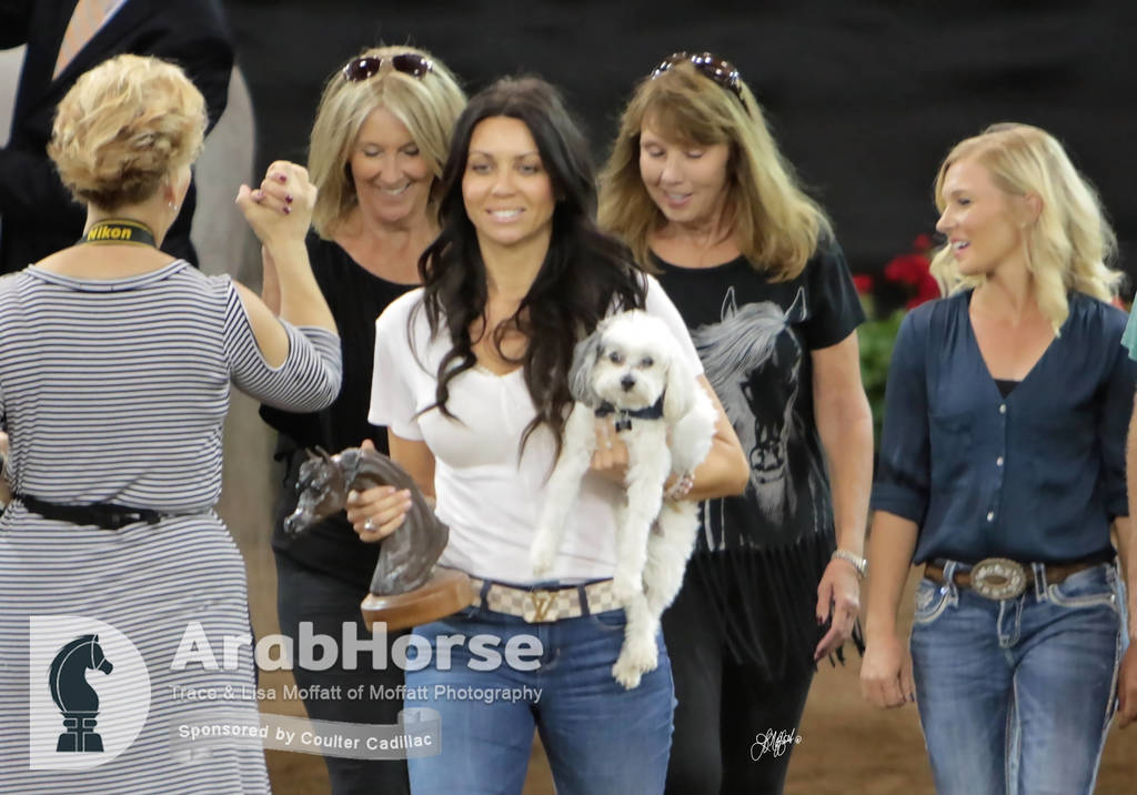 Arabian National Breeder Finals - 2017