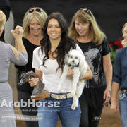 Arabian National Breeder Finals - 2017