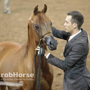 Arabian National Breeder Finals - 2017