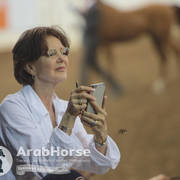 Arabian National Breeder Finals - 2017