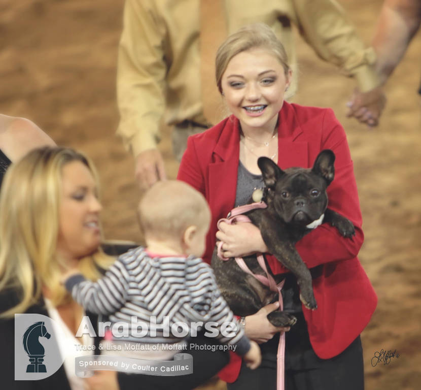 Arabian National Breeder Finals - 2017