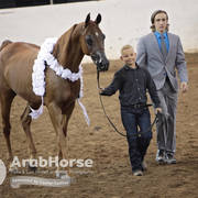 Arabian National Breeder Finals - 2017