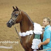 Arabian National Breeder Finals - 2017