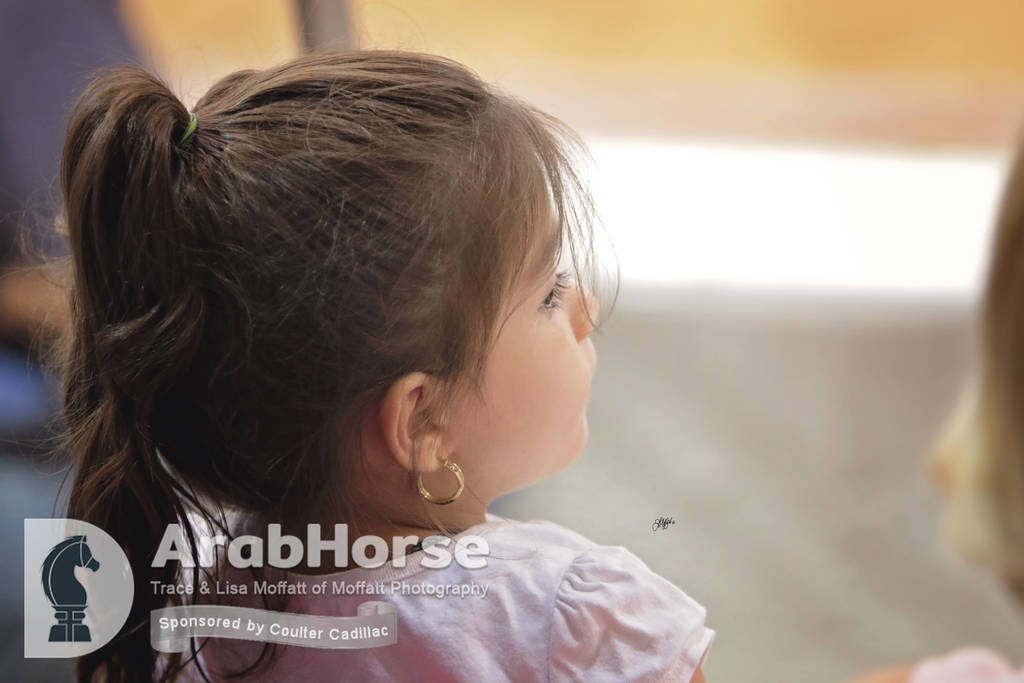 Arabian National Breeder Finals - 2017