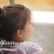 Arabian National Breeder Finals - 2017