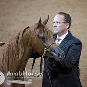Arabian National Breeder Finals - 2017