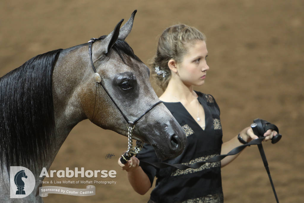 Arabian National Breeder Finals - 2017