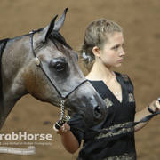 Arabian National Breeder Finals - 2017