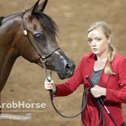Arabian National Breeder Finals - 2017