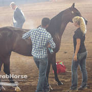Arabian National Breeder Finals - 2017
