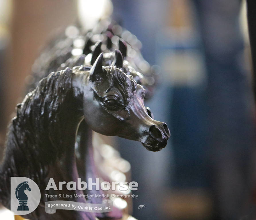 Arabian National Breeder Finals - 2017