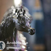 Arabian National Breeder Finals - 2017