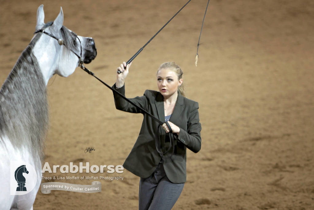 Arabian National Breeder Finals - 2017