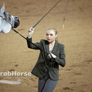 Arabian National Breeder Finals - 2017