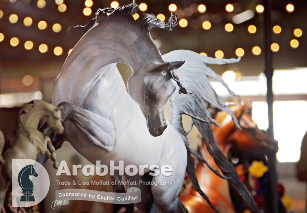 Arabian National Breeder Finals - 2017