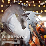 Arabian National Breeder Finals - 2017