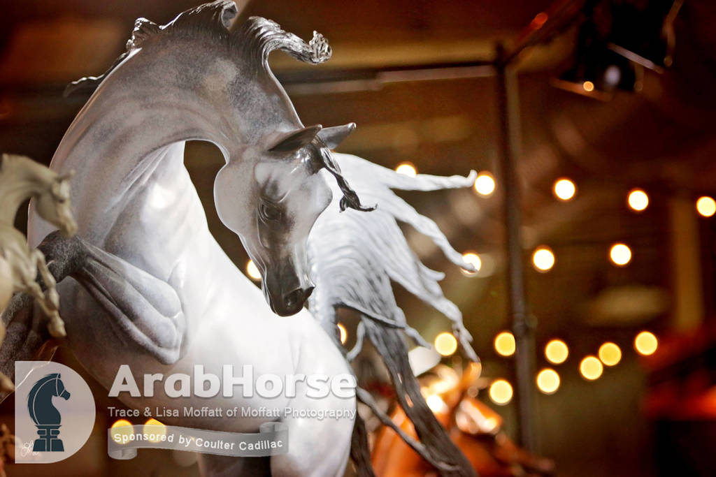 Arabian National Breeder Finals - 2017