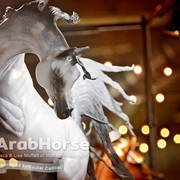 Arabian National Breeder Finals - 2017