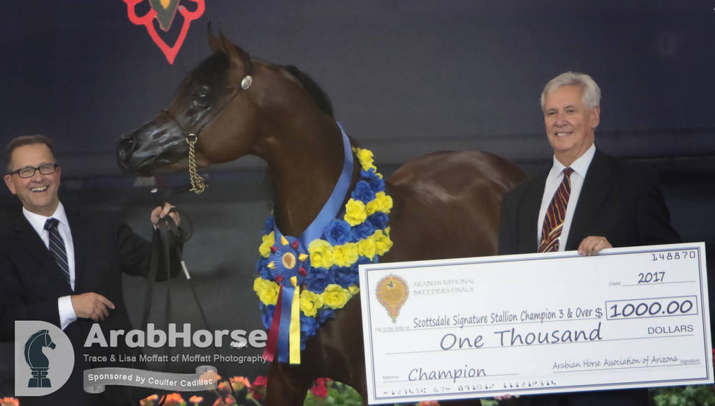 Arabian National Breeder Finals - 2017